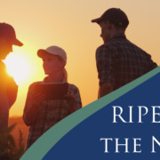 RIPE in the News graphic