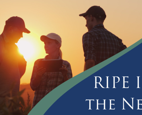 RIPE in the News graphic