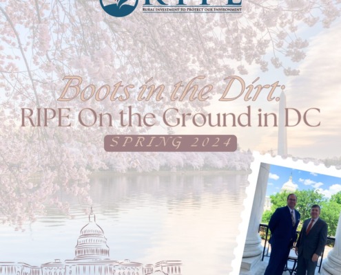 A collage of Washington DC Tidal basin, line drawing of Capitol Hill, and postcard image of RIPE's Trey Cooke and Reece Langley. This is the cover image for RIPE's blog "Boots in the Dirt: RIPE On the Ground in DC."