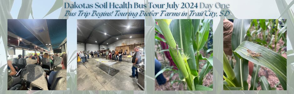 A collage of pictures from No-till on the Plains' 2024 Dakotas Soil Health Bus Tour. These images include, from left to right, a snapshot from the bus that took us through the Dakotas, the inside of the shop at Bieber Farms, a spider on a corn plant, and a grasshopper on a corn plant.