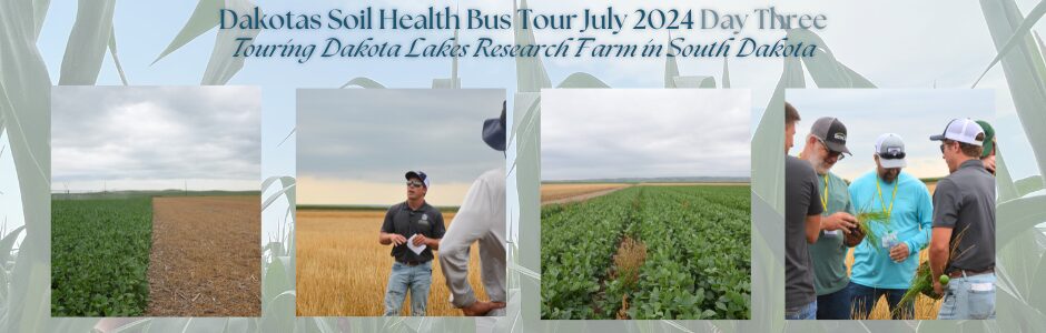 A collage of pictures from No-till on the Plains' 2024 Dakotas Soil Health Bus Tour. These images include, from left to right, a field where two commodity types meet, an employee of Dakota Lakes Research Center discussing their work, a crop field with no-till, and a group of producers chatting in a field.