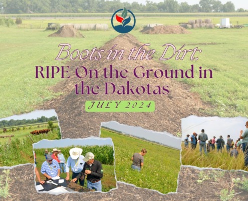 A collage of pictures from RIPE's trip with No-till on the Plains for their Dakotas Soil Health Bus Tour. Image of a soil mound, a pasture with livestock, producers examining soil, a producer in an unmowed pasture, and producers conversing in a crop field.